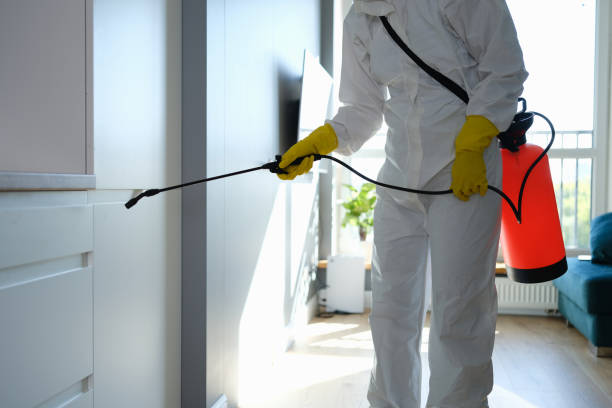 Best Office Mold Removal Services  in Millcreek, UT