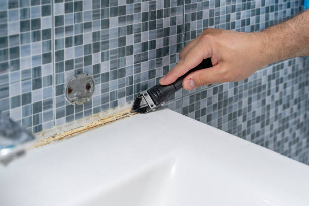 Best Mold Remediation Experts  in Millcreek, UT